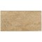 Msi Tuscany Walnut 12 in.  X 24 in.  Brushed Travertine Pool Coping ZOR-LSC-0094 - alternate 1